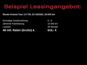 Skoda Octavia Combi Tour 2.0TDI DSG / Matrix, HuD, AHK bild 7