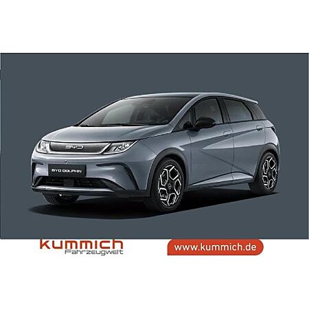 BYD Dolphin leasen