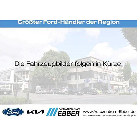 Ford Transit Custom leasen