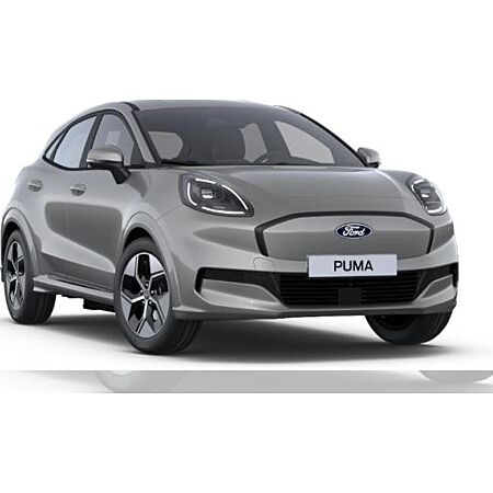 Ford Puma leasen