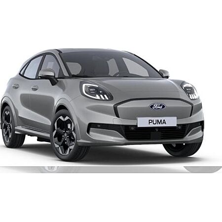 Ford Puma leasen