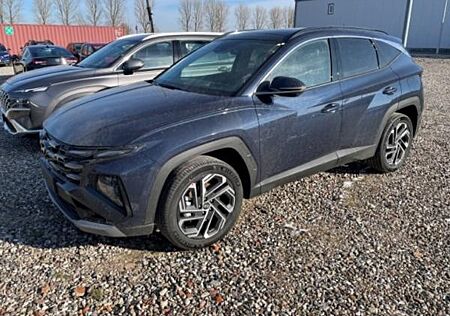 Hyundai Tucson HEV 1.6 T-Gdi PRIME Assistenz-Paket, Panoramadach