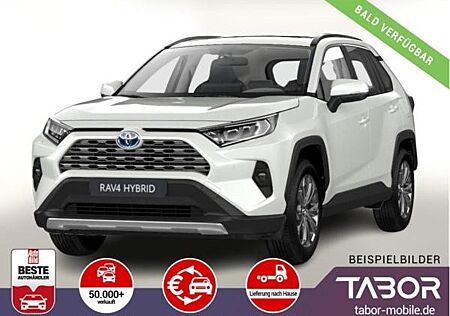 Toyota RAV 4 2.5 Hybrid 222 4x4 Team D el.HK SHZ DigC