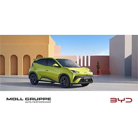 BYD Dolphin leasen