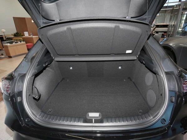 Kia XCeed 1.6T DCT GT-Line ⚡Sonderaktion⚡ Sofort verfügbar ⚡ bild 5
