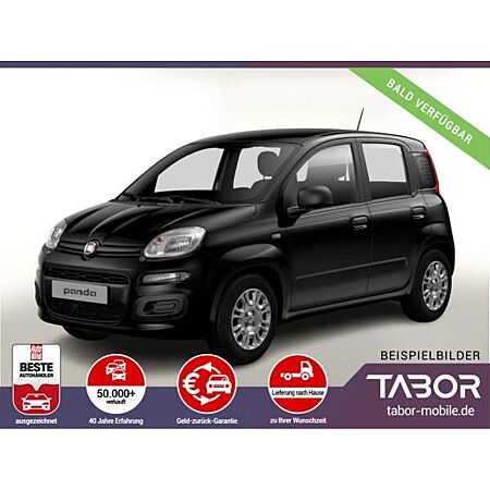 Fiat Panda leasen