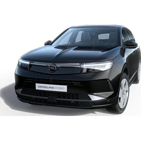 Opel Grandland X leasen