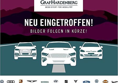 VW Taigo Volkswagen 1.0 TSI DSG GOAL / SOFORT VERFÜGBAR !