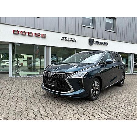 Andere Andere leasen