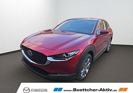 Mazda CX-30 gebraucht kaufen Mazda CX-30 e-SKYACTIV-G M-Hybrid 140 Exclusive-l AT