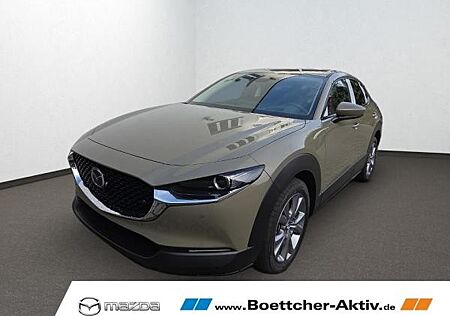 Mazda CX-30 gebraucht kaufen Mazda CX-30 e-SKYACTIV-G M-Hybrid 140 Exclusive-l AT
