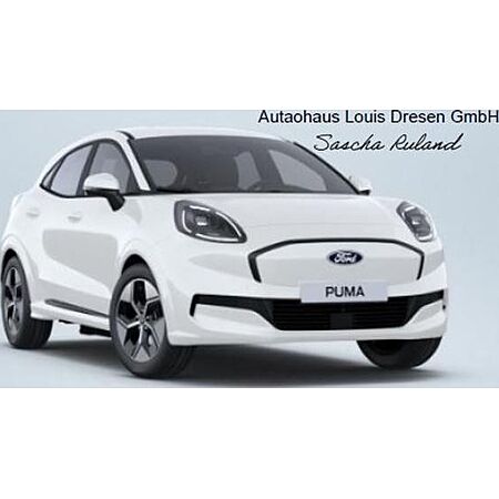 Ford Puma leasen