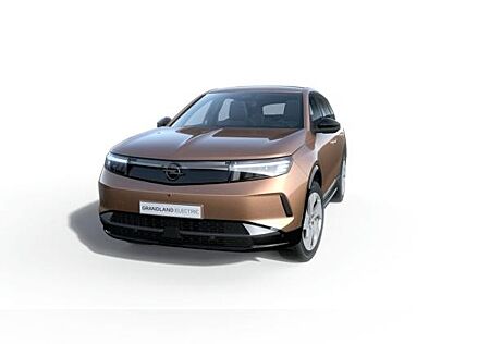 Opel Grandland gebraucht kaufen Opel Grandland Electric Edition h Batterie