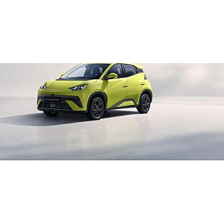 BYD Dolphin Surf leasen