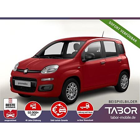 Fiat Panda leasen