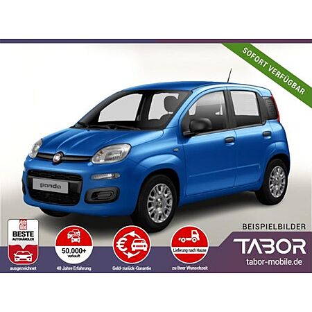Fiat Panda leasen