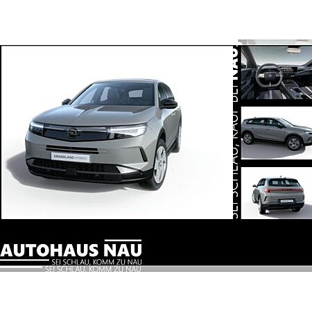 Opel Grandland X leasen