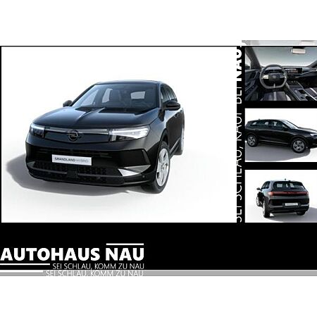 Opel Grandland X leasen