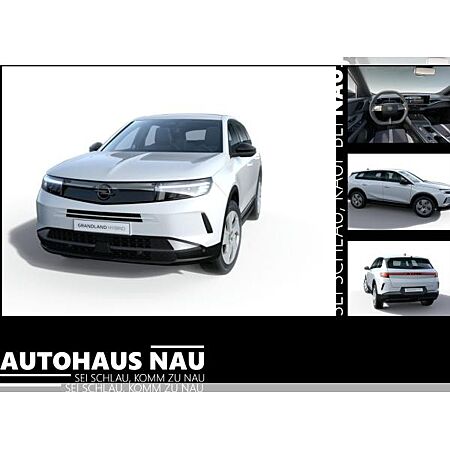 Opel Grandland X leasen