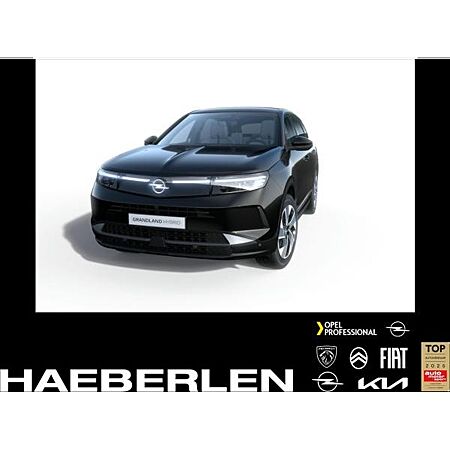 Opel Grandland X leasen
