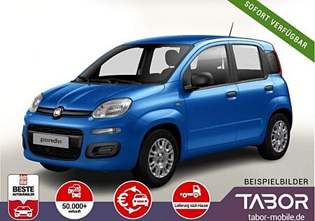 Fiat Panda gebraucht kaufen Fiat Panda MHEV 70 5"-DAB Temp PDC DigCo LaneA 5-Sitz