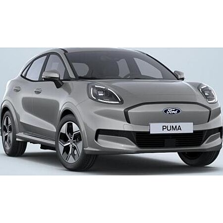 Ford Puma leasen