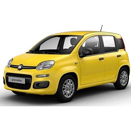 Fiat Panda leasen