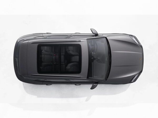 Porsche Cayenne E-Hybrid BOSE PASM InnoDrive HD-Matrix bild 6