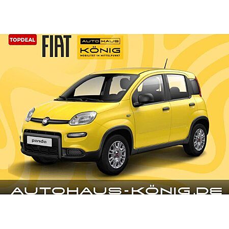 Fiat Panda leasen