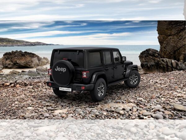 Jeep Wrangler 2.0 T-GDI Sahara Sky One Touch 2 Farben verfügbar Abholung Mannheim bild 4