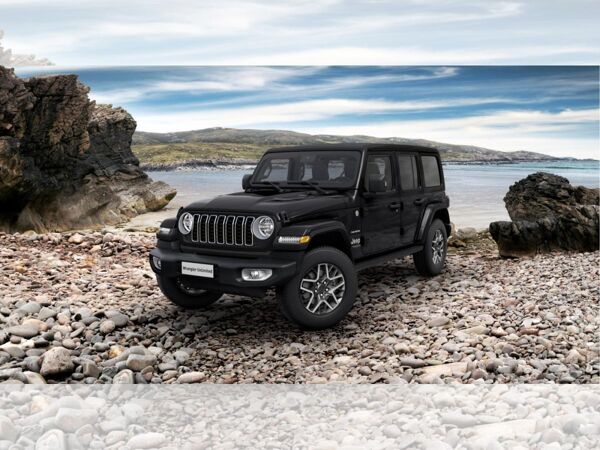 Jeep Wrangler 2.0 T-GDI Sahara Sky One Touch 2 Farben verfügbar Abholung Mannheim bild 2