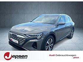 Audi Q8 e-tron advanced 50 qu. PANO HUD AHK Matrix 19