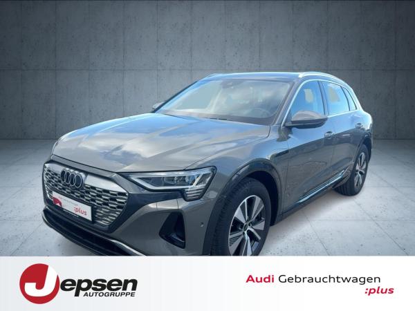 Audi Q8 e-tron advanced 50 qu. PANO HUD AHK Matrix 19 bild
