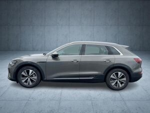 Audi Q8 e-tron 50 quattro PANO HUD AHK Matrix 19 bild 3