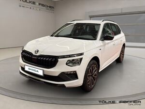 Skoda Kamiq SOFORT VERFÜGBAR! Tour ACC AHK Virtual LED LM bild 2