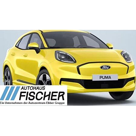 Ford Puma leasen