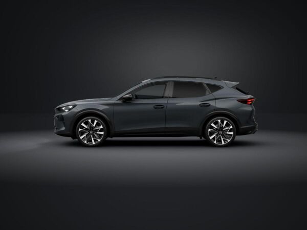 Cupra Formentor VZ 2.0 TSI 195 kW (265 PS) 7-Gang-DSG bild 3