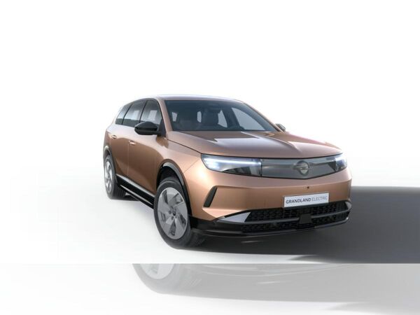 Opel Grandland Edition | Mild-Hybrid mit Allwetterreifen Gerwerbehammer bild 2