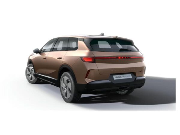 Opel Grandland Edition | Mild-Hybrid mit Allwetterreifen Gerwerbehammer bild 5