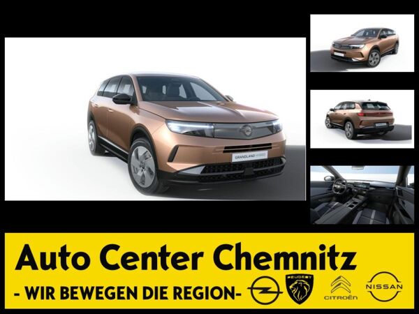 Opel Grandland Edition | Mild-Hybrid mit Allwetterreifen Gerwerbehammer bild 1