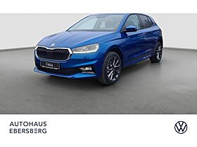Skoda Fabia TSI DSG Tour ACC Navi Kamera Winter