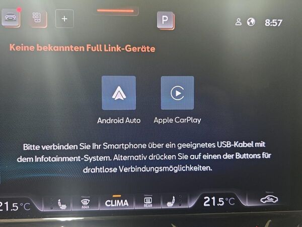 Cupra Formentor VZ Tribe Edition +++ sofort verfügbar +++ 2.0 TSI 245 kW (333 PS) 7-Gang DSG 4Drive bild 6