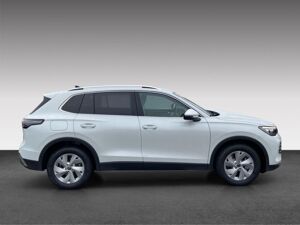 Volkswagen Tiguan Elegance DSG SOFORT VERFÜGBAR bild 5