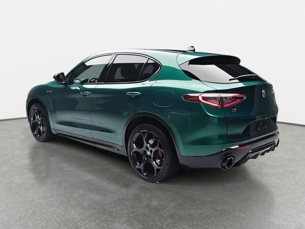 Alfa Romeo Stelvio 2.2 DIESEL 16V Q4 VELOCE PANORAMA 21-ZOLL bild 5