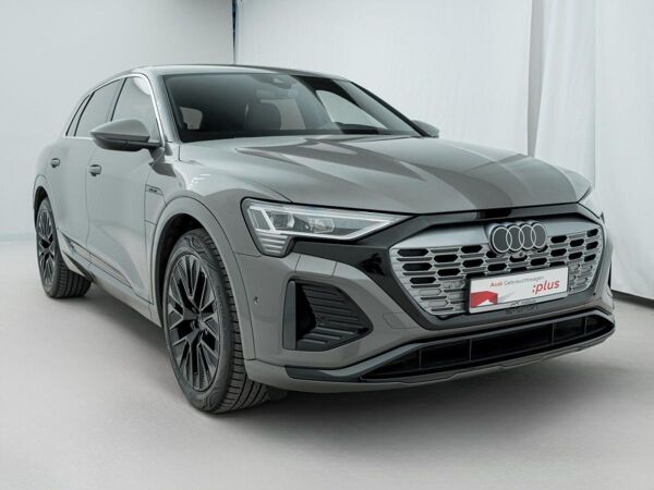 Audi Q8 e-tron 50 QUA*S-LINE*ACC*HUD*LANE*RFK*MATRIX* bild 4
