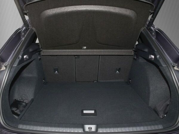 Cupra Terramar VZ 2.0TSI / 7-Gang-DSG 4Drive CAL * Gültig nur für Cupra Fahrer * bild 6