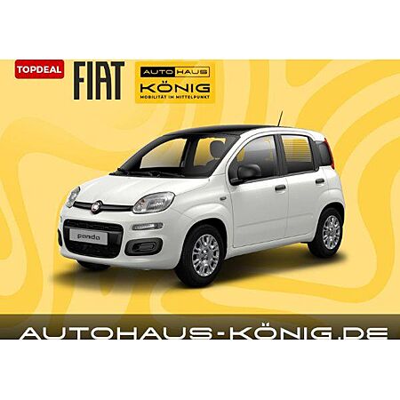 Fiat Panda leasen