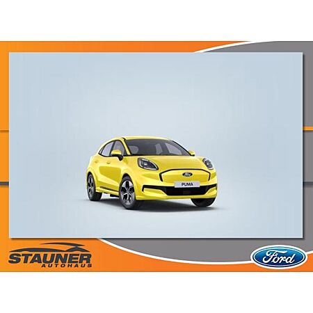 Ford Puma leasen