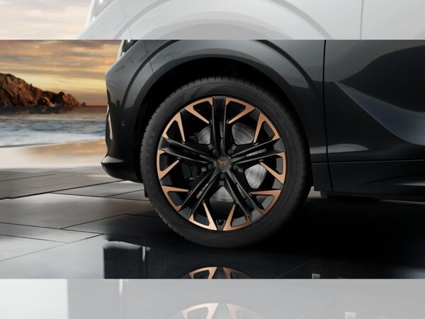 Cupra Terramar 2.0 TSI 4Drive DSG *SOFORT VERFÜGBAR* bild