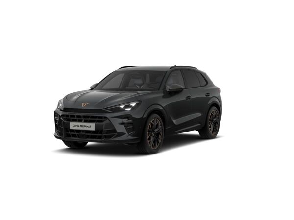 Cupra Terramar 2.0 TSI 4Drive DSG *SOFORT VERFÜGBAR* bild 4